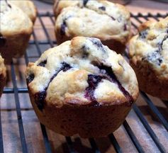 Diabetic Friendly Blueberry Muffins