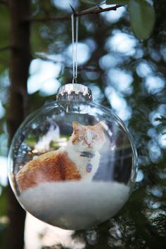 DIY Photo Ornaments