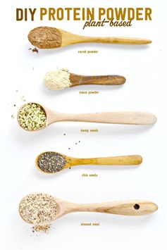 DIY Plant Based Protein Powder