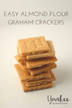 Easy Almond Flour Graham Crackers