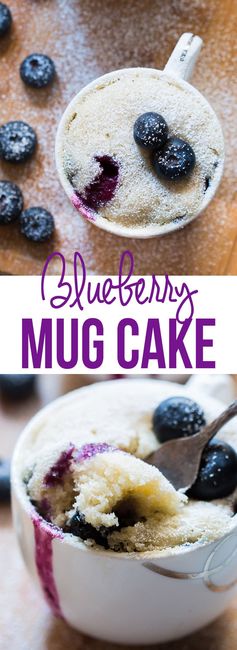 Eggless Blueberry Microwave Mug Cake