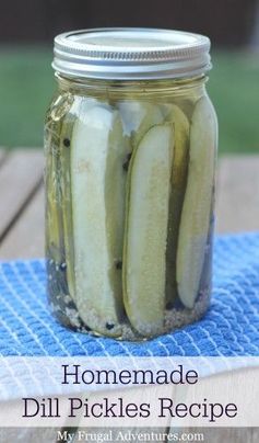 Fast & Easy Homemade Refrigerator Pickles