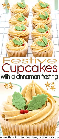 Festive Spiced Cupcakes With A Cinnamon Frosting