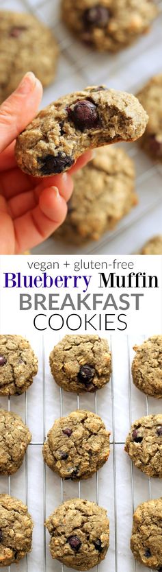 Flourless Blueberry Breakfast Cookies