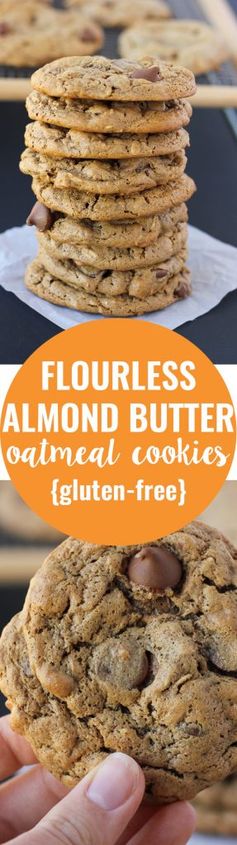 Flourless Oatmeal Almond Butter Chocolate Chip Cookies (Gluten-Free, Dairy-Free