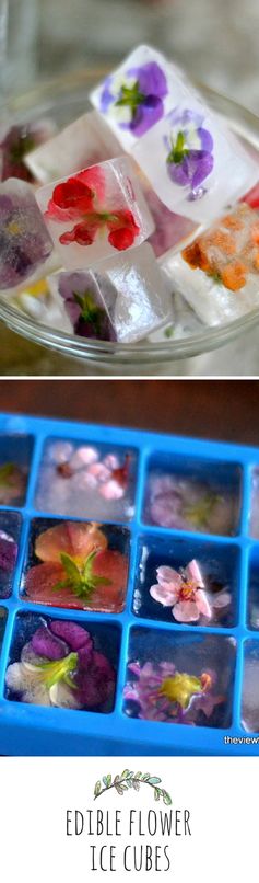 Flower Ice Cubes