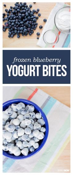 Frozen Blueberry Yogurt Bites