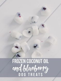 Frozen Coconut Oil and Blueberry Dog Treats