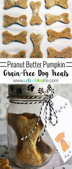 Grain-Free Peanut Butter Pumpkin Dog Treats