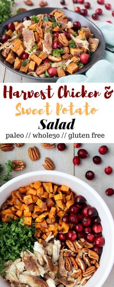 Harvest Chicken & Sweet Potato Salad