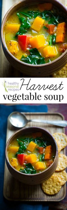 Harvest vegetable soup