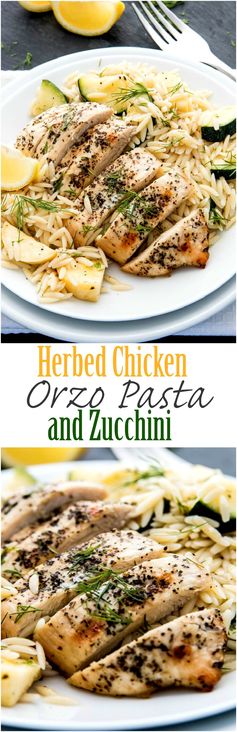 Herbed Chicken Orzo Pasta and Zucchini