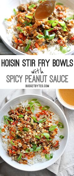 Hoisin Stir Fry Bowls with Spicy Peanut Sauce