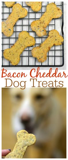 Homemade Bacon Cheddar Dog Treats