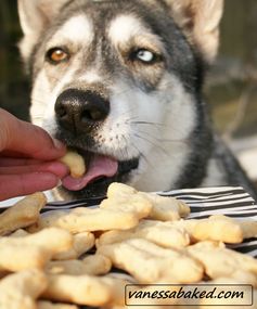 Homemade Bacon Dog Treats