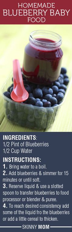 Homemade Blueberry Baby Food