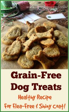 Homemade Grain Free Dog Treats