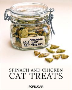 Homemade Organic Spinach and Chicken Cat Treats