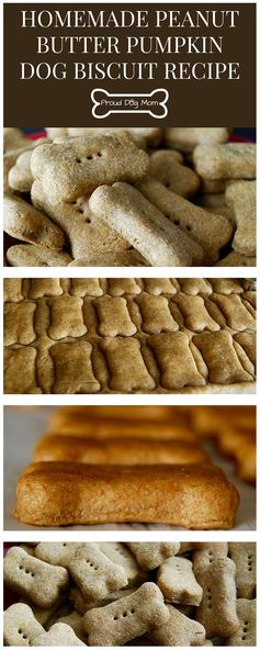 Homemade Peanut Butter Pumpkin Dog Biscuit