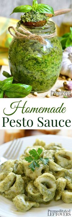 Homemade Pesto Sauce