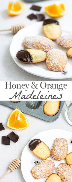 Honey and Orange Madeleines