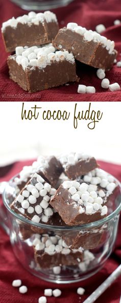 Hot Cocoa Fudge