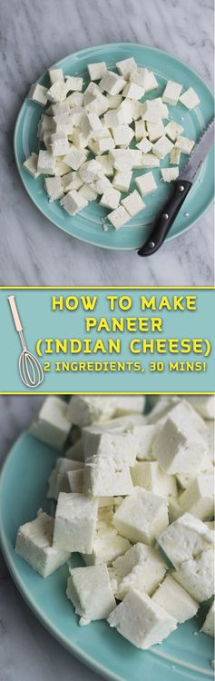 How to Make Paneer - With Just 2 Ingredients