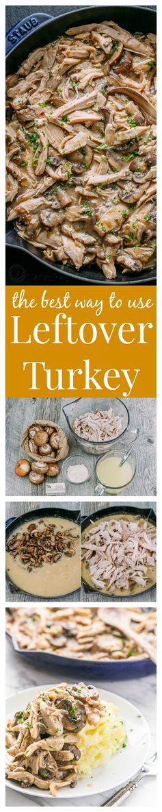 Leftover Turkey in Creamy Mushroom Sauce