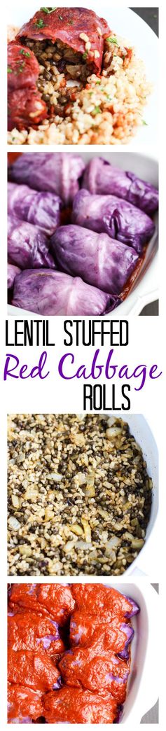 Lentil Stuffed Red Cabbage Rolls