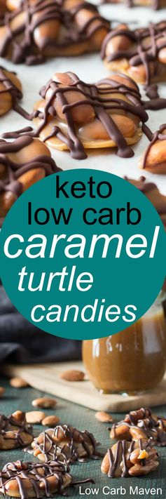 Low Carb Turtle