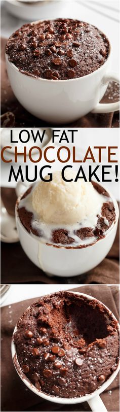 Low Fat Chocolate Mug Cake