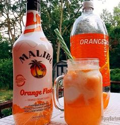 MALIBU Orange Float