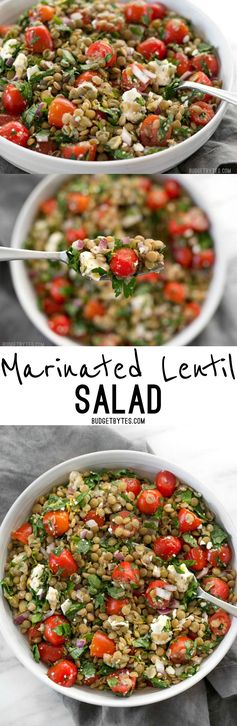 Marinated Lentil Salad