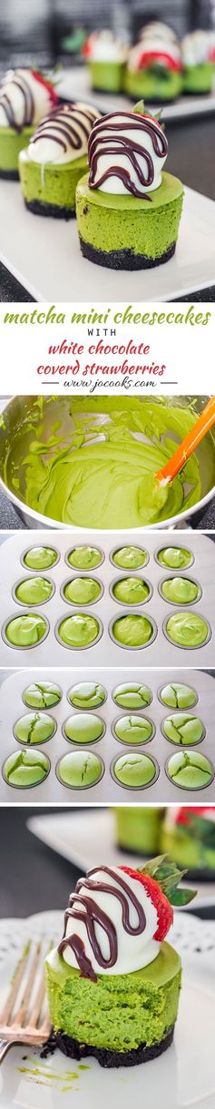 Matcha Mini Cheesecakes with White Chocolate Covered Strawberries