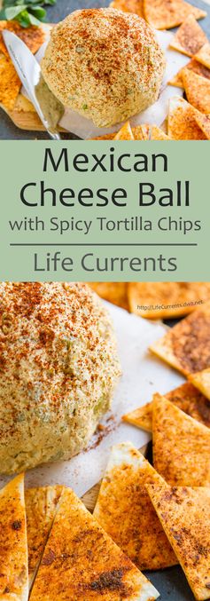 Mexican Cheese Ball with spicy Tortilla Chips