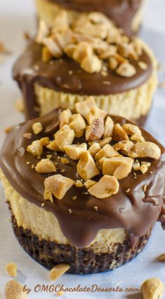 Mini Chocolate Peanut Butter Cheesecakes