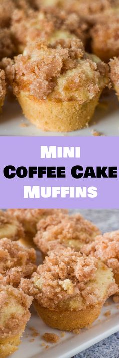 Mini Coffee Cake Muffins