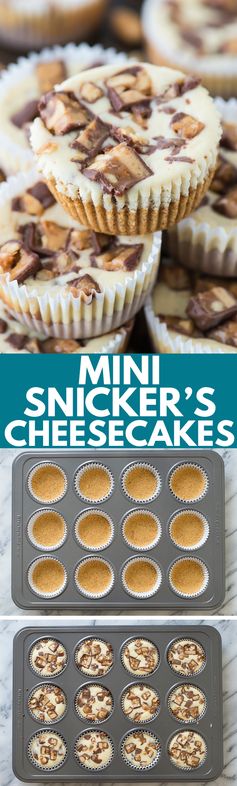 Mini Snicker's Cheesecakes