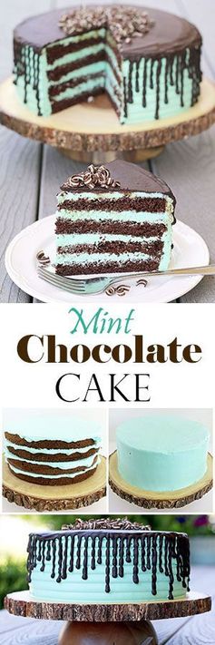 Mint Chocolate Cake