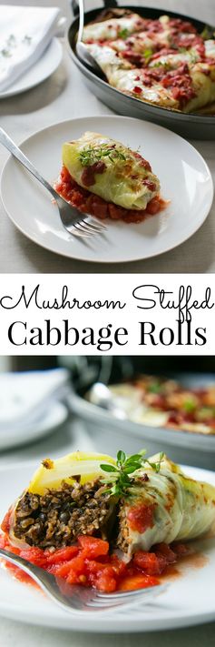 Mushroom Stuffed Cabbage Rolls