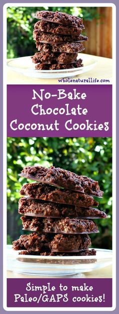 No-Bake Chocolate Coconut Cookies