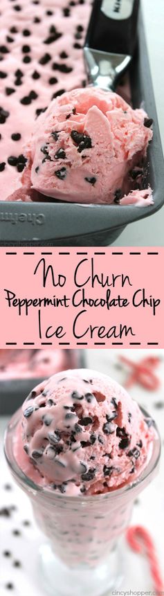 No Churn Peppermint Chocolate Chip Ice Cream