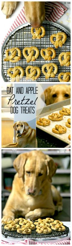 Oat and Apple Pretzel Dog Treats