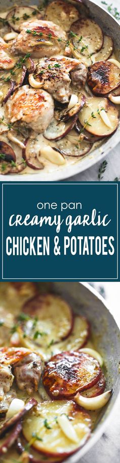 One Pan Creamy Garlic Herb Chicken & Potatoes