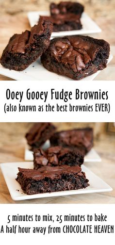 Ooey Gooey Fudge Brownies
