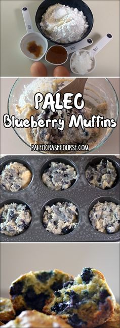 Paleo Blueberry Muffin