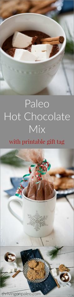 Paleo Pre-Made Hot Chocolate Mix