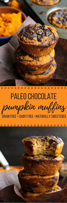 Paleo Pumpkin Muffins with a Chocolate Swirl