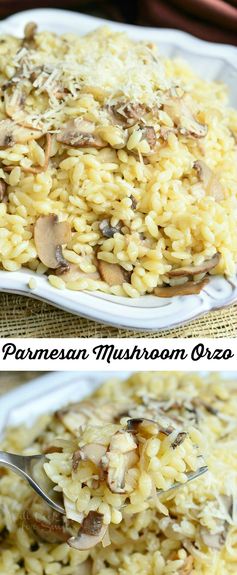 Parmesan Mushroom Orzo