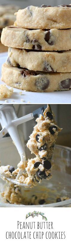 Peanut Butter Chocolate Chip Shortbread Cookies